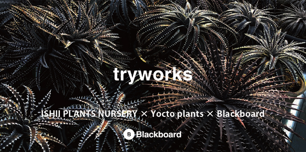 Try Works ７月28 土 29日 日 Blackboard Ishii Plants Nursery Yocto Plants 北欧ビンテージ 北欧家具 カフェ Blackboardつくば